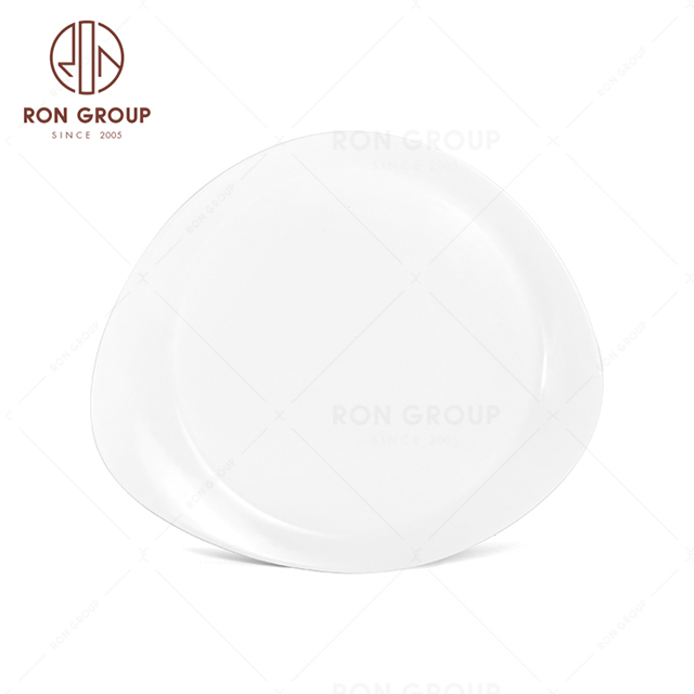 RonGroup New Color Matte White Chip Proof Porcelain  Collection - Ceramic Dinnerware Round Soup Plate 